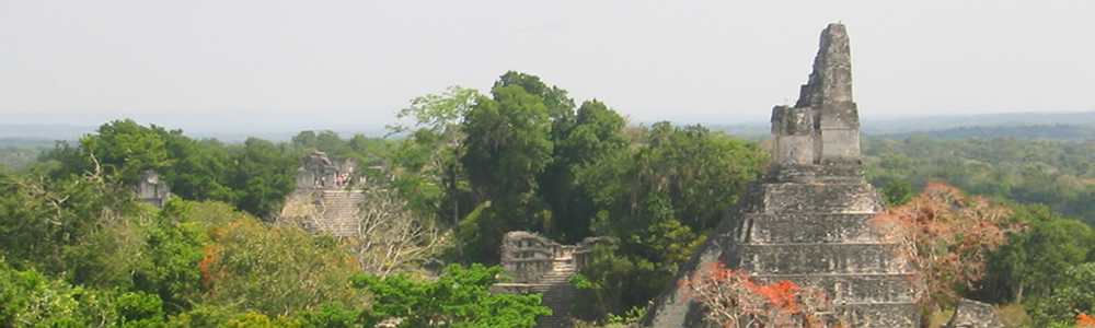 グァテマラ マヤ文化協会